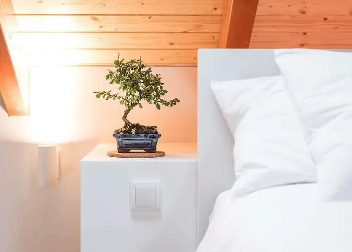 Lejlighed Sobri Cork House - Sustainable Loft Porto